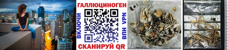 Галлюциногенные грибы Psilocybe  мега   Рубцовск 